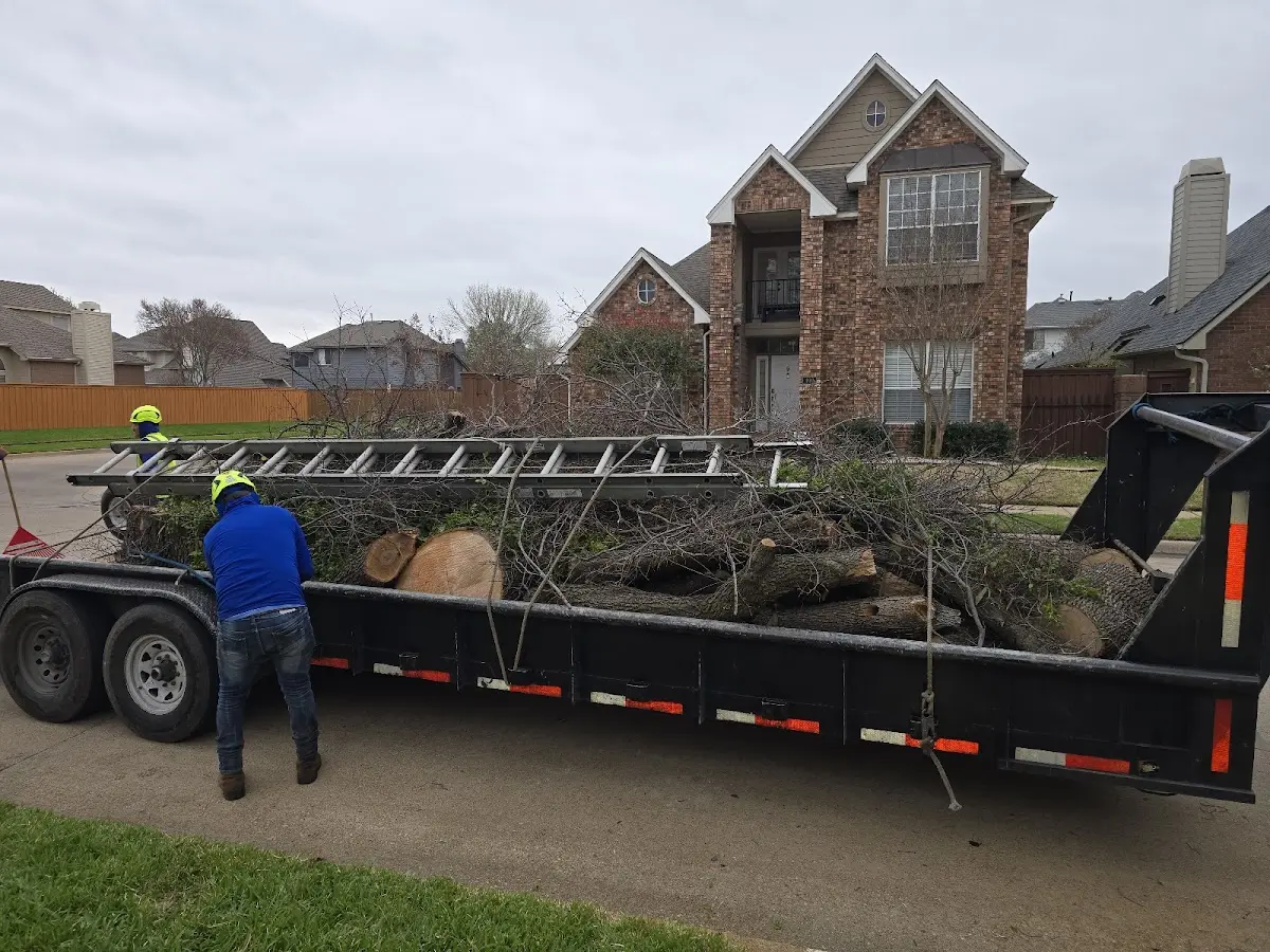 Expert Tree Fertilization with proper safety equipment in Wittmann